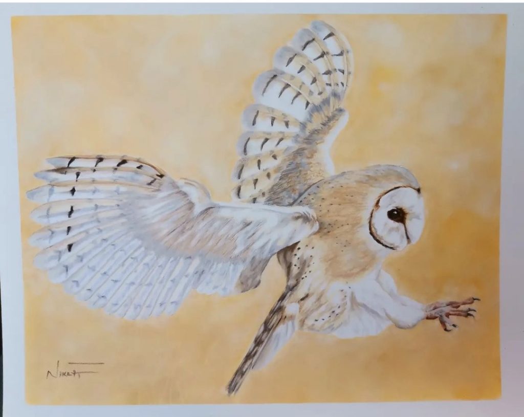 Barn Owl Mec: Pastel Dim: 24 x 30cm £86