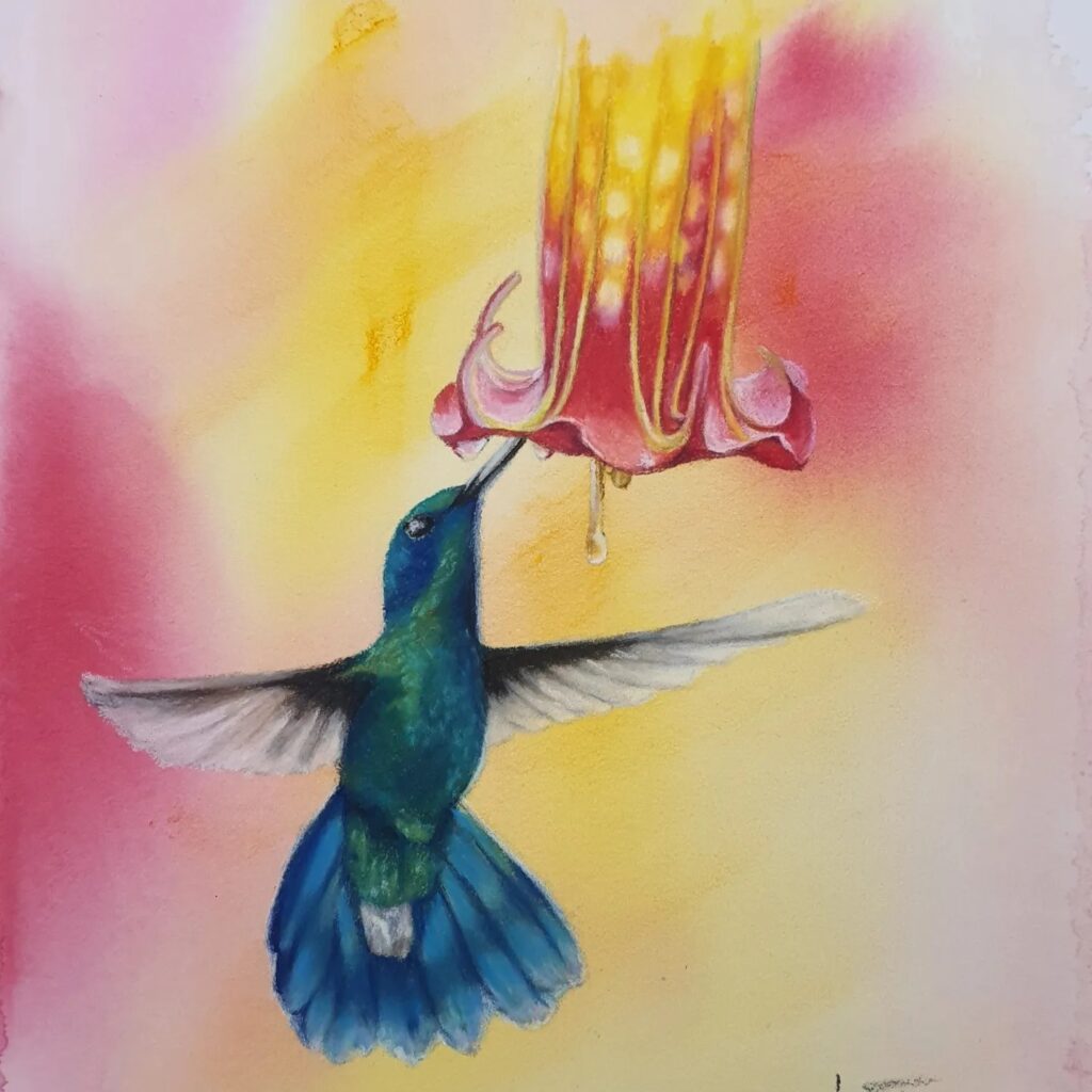 Humming Bird