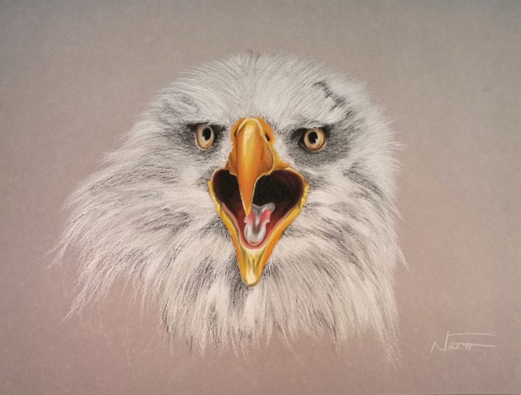Eagle Trio (2) Med: Pastel 24 × 32cm £60