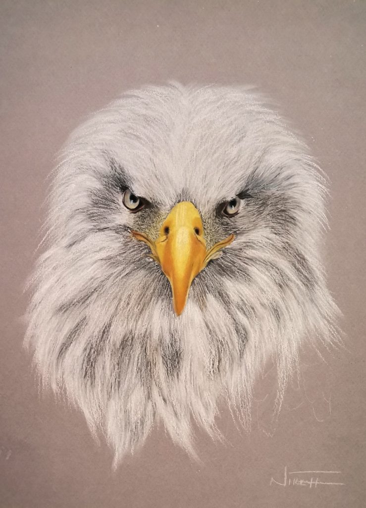 Eagle Trio(3) Med: Pastel Dim:32 × 24cm £60