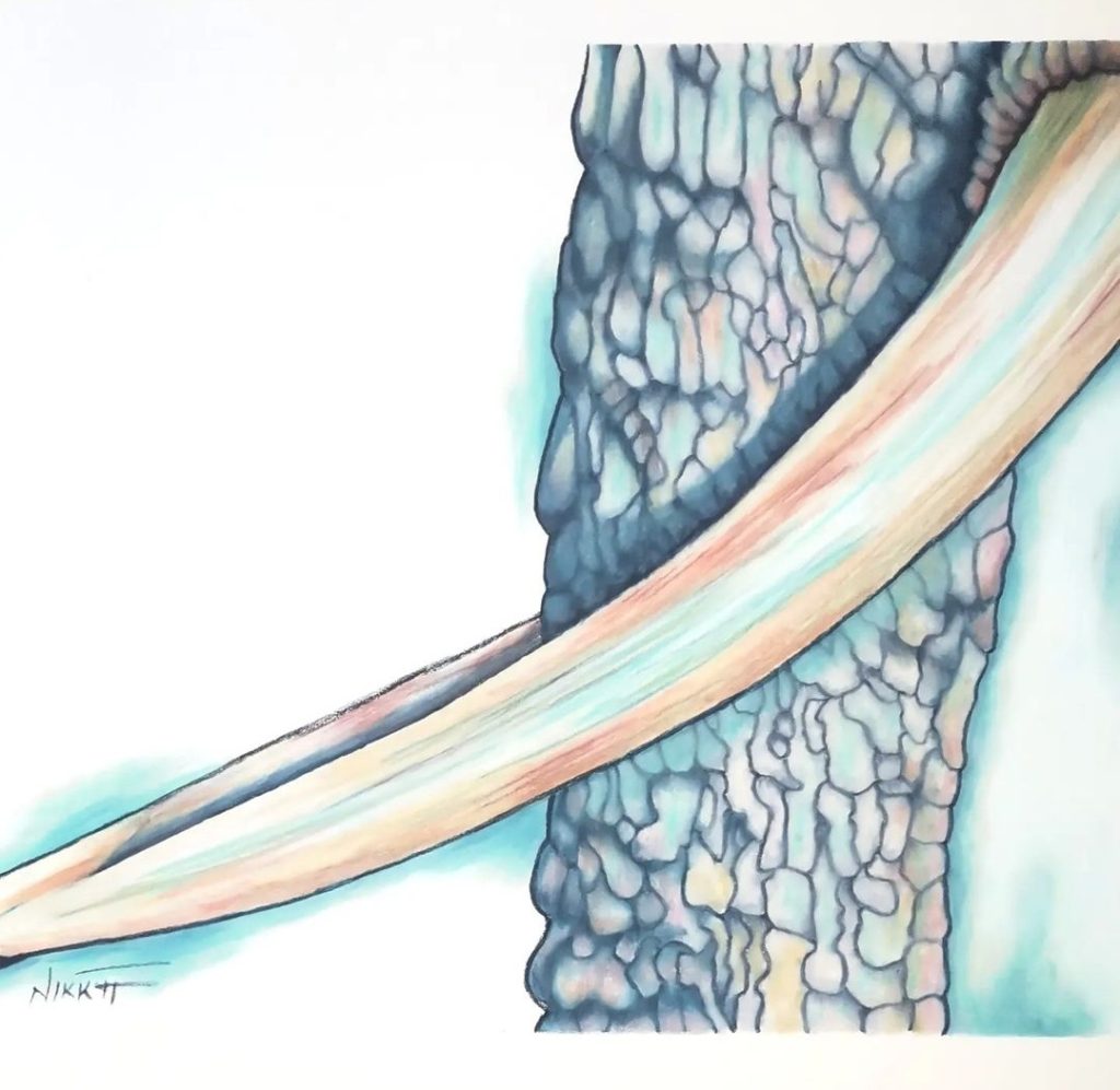 Memories… of home (3) SOLD Med: Pastel Dim: 23cm x 30cm Price: £80