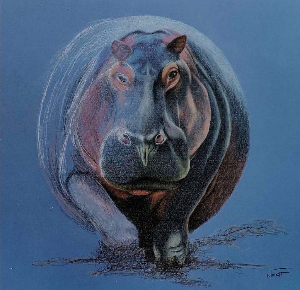 Delicate Balance (1) Med_Colour Pencil Dim: 50 x 50cm SOLD