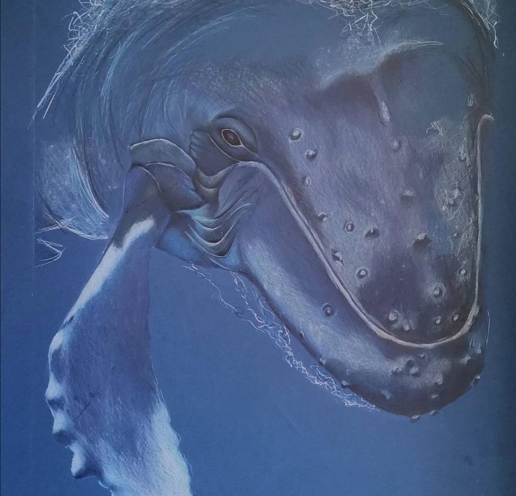 Delicate Balance (3) Med: Colour Pencil Dim: 50 x 60cm SOLD