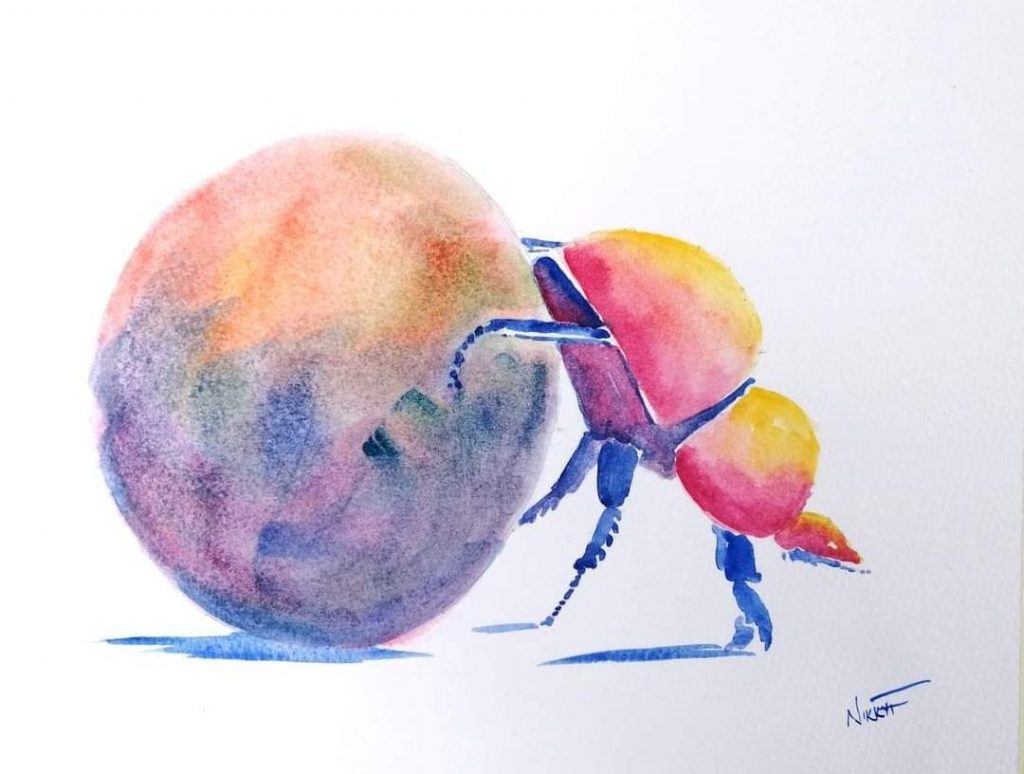 Dung Beetle Med: Watercolour Dim: 20 x 20cm SOLD