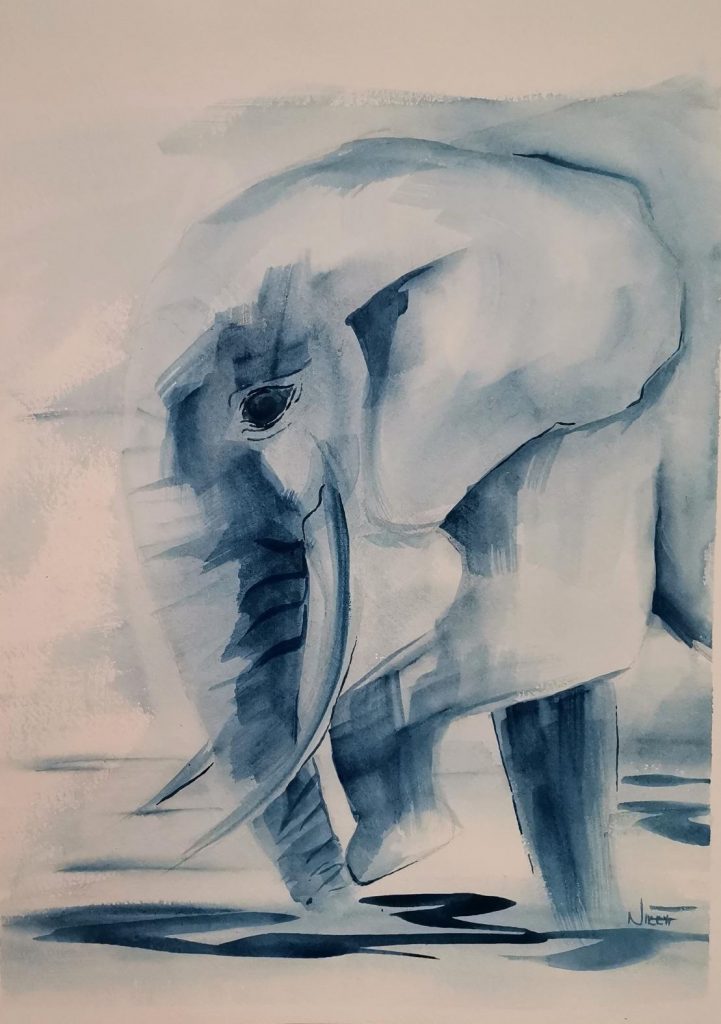 Elephant Med: Watercolour Dim: 37 x 28.5cm Price: £85