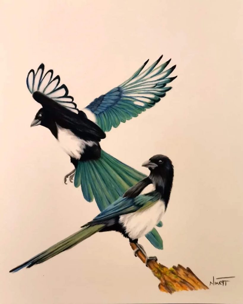 Magpies Med: Pastels Dim: 40 × 30cm SOLD Price: £ 144