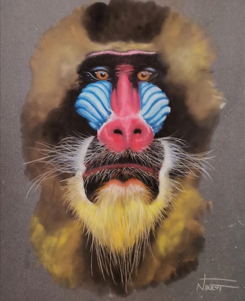 Mandrill Med: Soft Pastel Dim: 40×30cm Price: £144