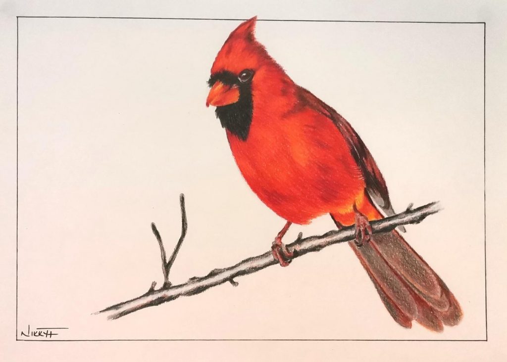 Red Bishop (2) Med: Colour Pencil Dim: 15 × 20cm Price: £24