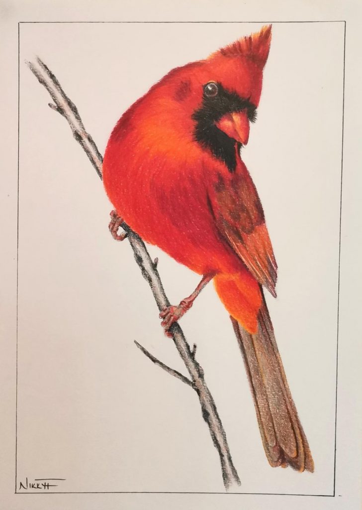 Red Bishop (3) Med: Colour Pencil Dim: 20 × 15cm Price: £24