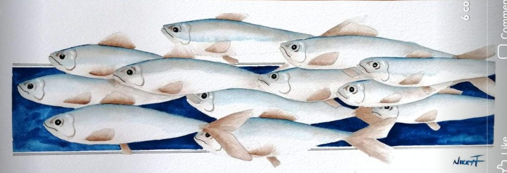Sardine Run Med: Watercolour Dim: 12 x 35cm Price £35