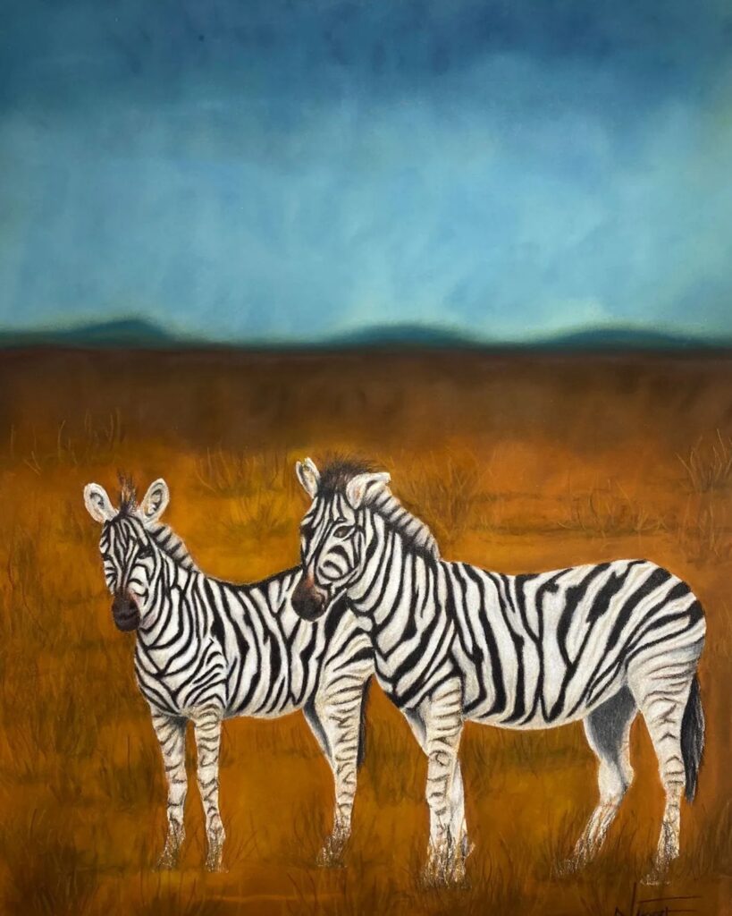 Zebras