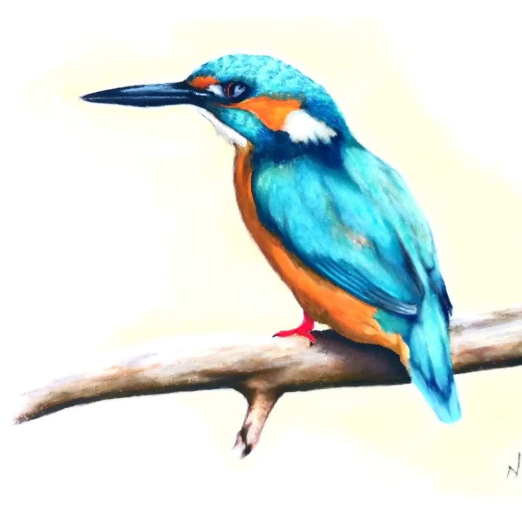 King Fisher Trio Med: Pastel Dim: 18x24cm £77 ea or £200 for trio