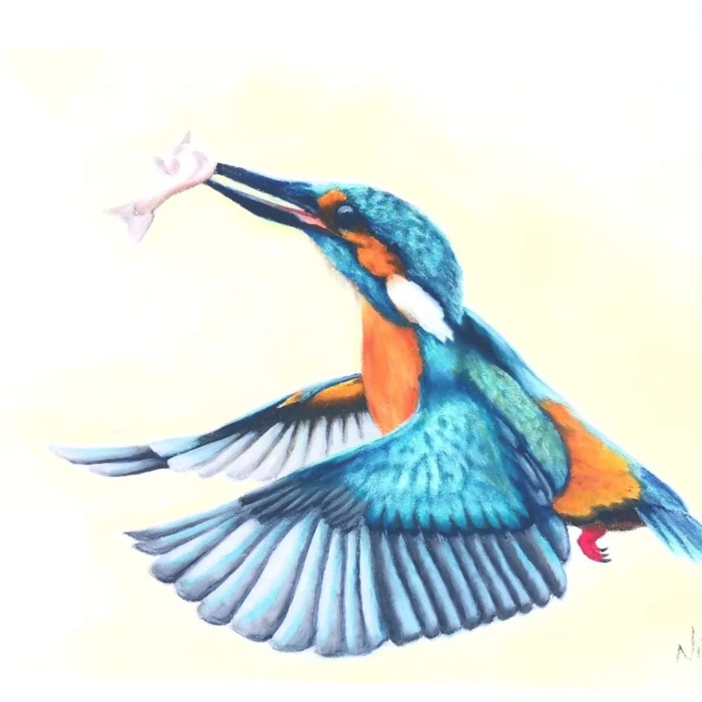 King Fisher Trio Med: Pastel Dim: 18x24cm £77 ea or £200 for trio
